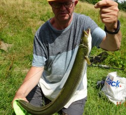 only this eel on the day 11 july 18 stephen yapp