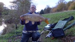 stephen yapp 26th oct 17 (11lbs)